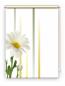Preview: Rollo Margarete linia links, Rollo, Motivrollo, Rollo mit Druck, Fotorollo, bedrucktes Rollo, Fensterrollo,verdunkelndes Rollo, Sonnenschutz Rollo